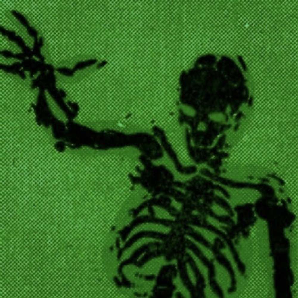 Meet your Posher, Liz